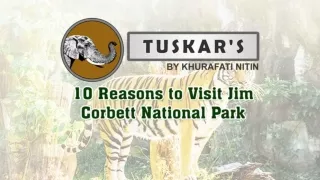Reasons To Come Jim Corbett Park | Luxury Resorts In Jim Corbett | Hotels & Resorts In Jim Corbett