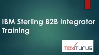 IBM Sterling B2B Integrator Online Training-MaxMunus