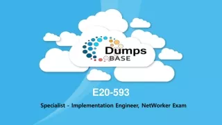 e20 593