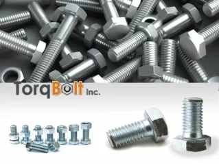 Duplex 2205 Bolts manufacturers