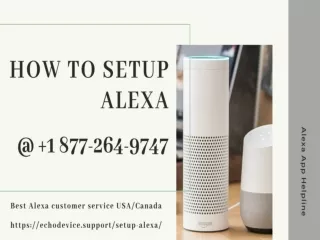 How to Setup Alexa  18772649747 Alexa Echo Dot Setup Call Now