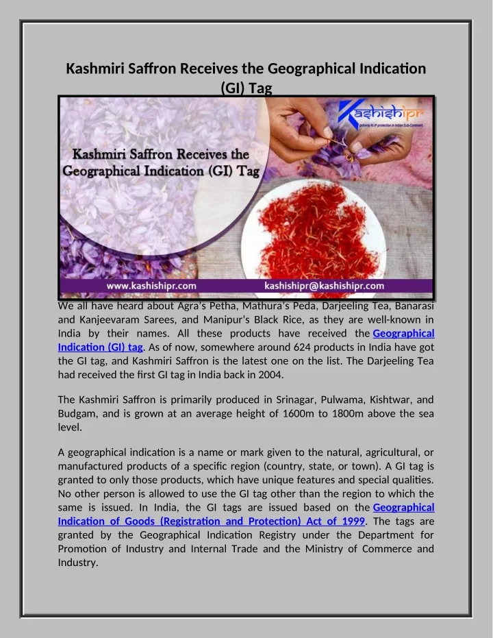 kashmiri saffron receives the geographical