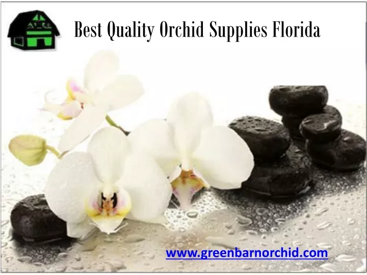 best quality orchid supplies florida