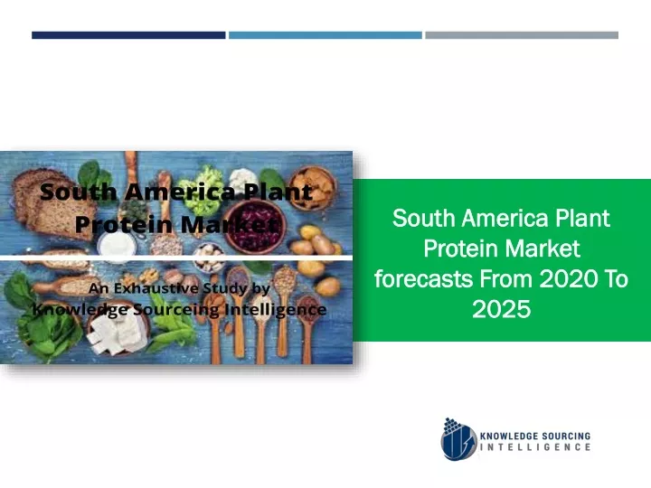 south america plant protein market forecasts from