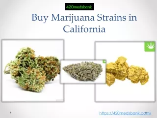 buy marijuana strains in california