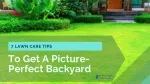 7 Lawn Care Tips To Get A Picture-Perfect Backyard! - slide 1