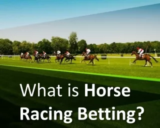 Where To Find The Top Horse Racing Odds?