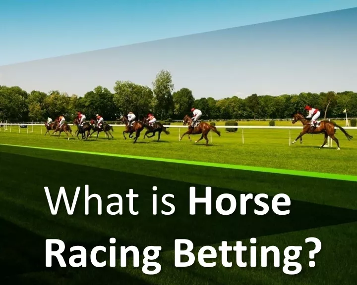 what is horse racing betting