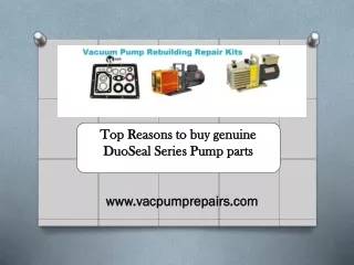Top Reasons to buy genuine DuoSeal Series Pump parts