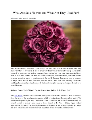 what are sola flowers and what are they used for