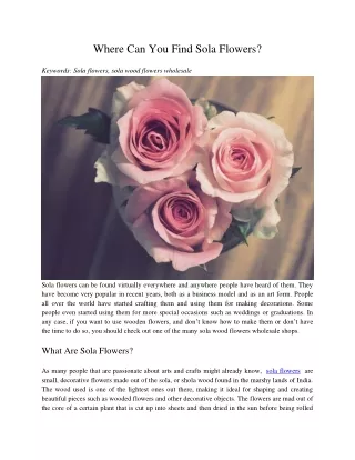 where can you find sola flowers