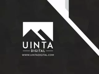 Online Marketing Tools - Uinta Digital
