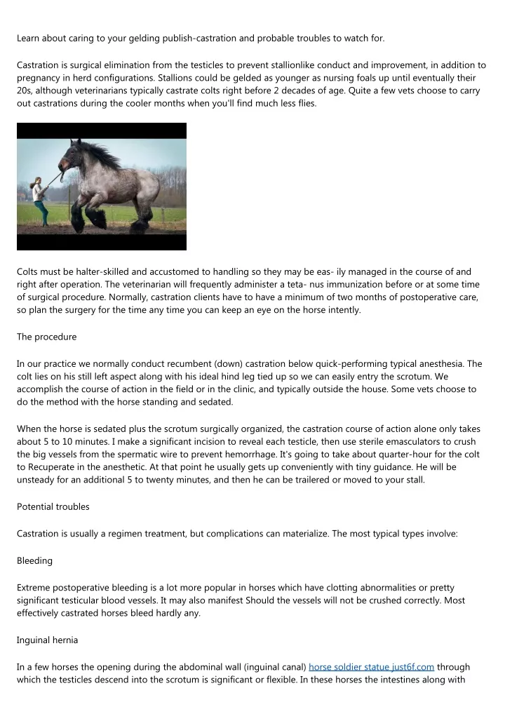 learn about caring to your gelding publish