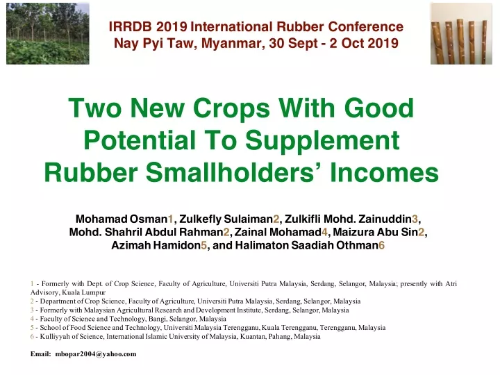 irrdb 2019 international rubber conference