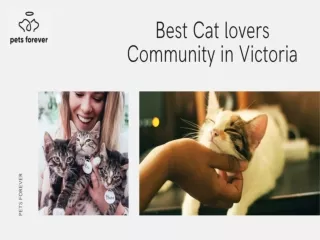 Best cat lovers community in victoria