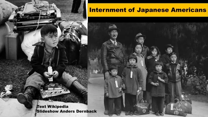 internment of japanese americans