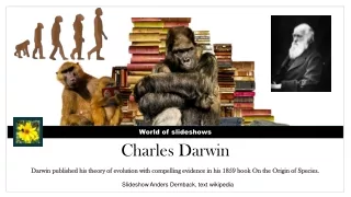 world of slideshows