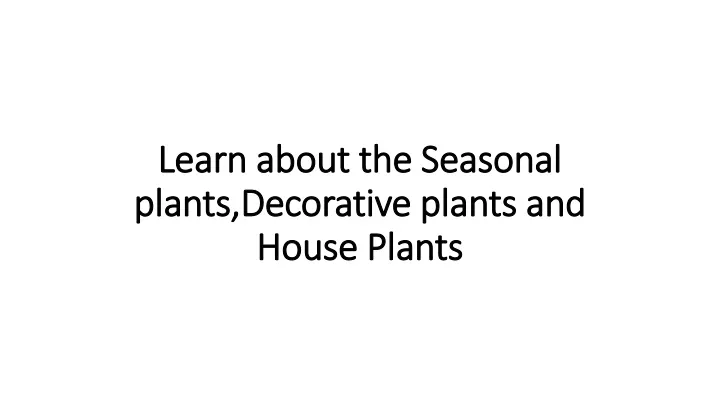 learn about the seasonal plants decorative plants and house plants