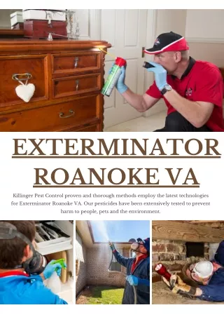 exterminator roanoke va