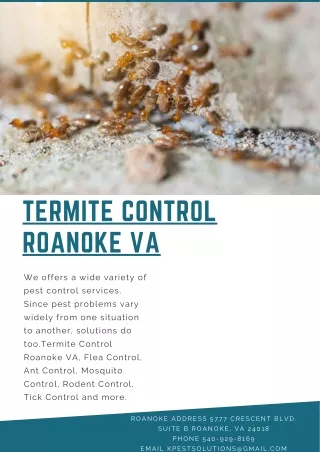 termite control roanoke va