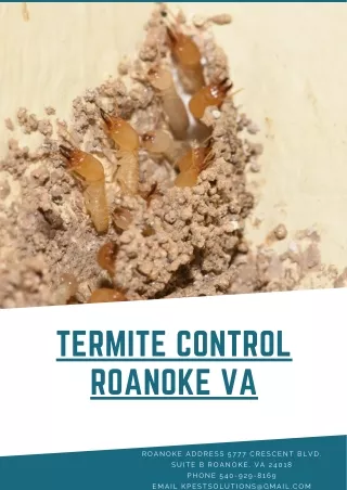 termite control roanoke va