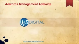 Adwords Management Adelaide