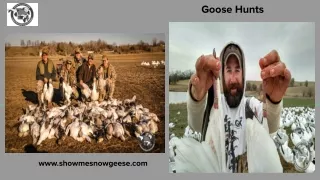 Goose Hunts