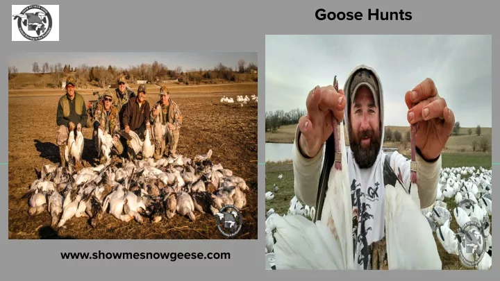 goose hunts