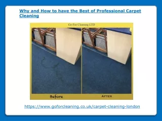 why and how to have the best of professional