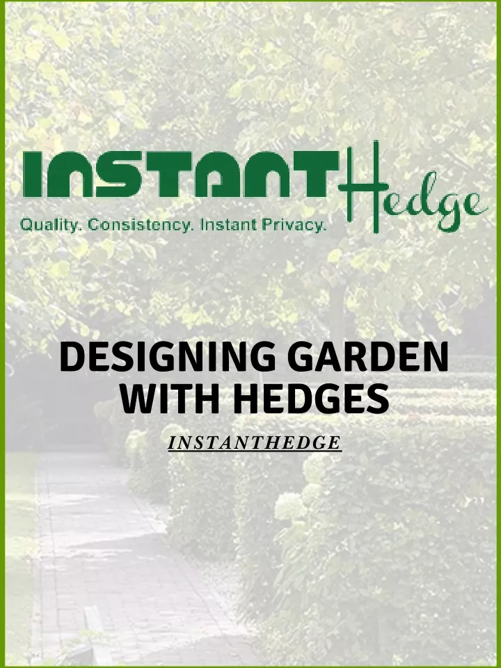 designing garden with hedges