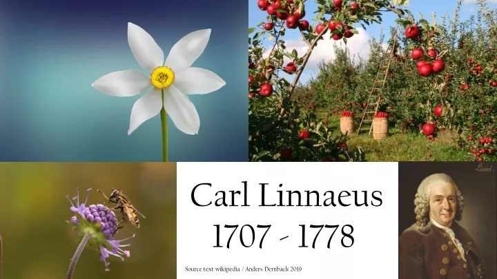 carl linnaeus 1707 1778