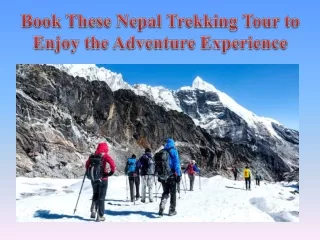 Book These Nepal Trekking Tour to Enjoy the Adventure Experience