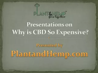 Why is CBD So Expensive?