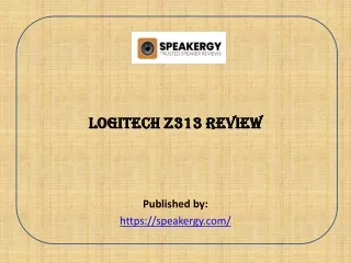 Logitech Z313 Review