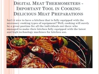 digital meat thermometer for oven