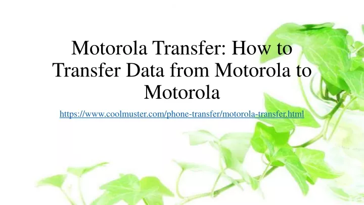 motorola transfer how to transfer data from motorola to motorola