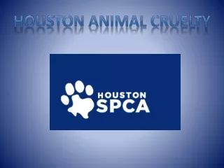 Creature Cruelty Defense Houston Animal Cruelty