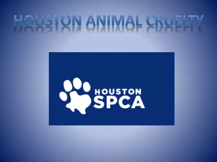 houston animal cruelty