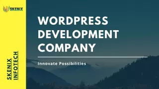 WordPress Development Company | Hire WordPress Developers