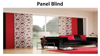 panel blind