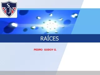 potencias y raíces ppt