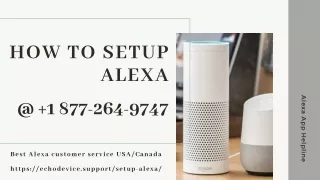 Quick Help Setup Alexa  18772649747 Call Now | Echo Dot Setup