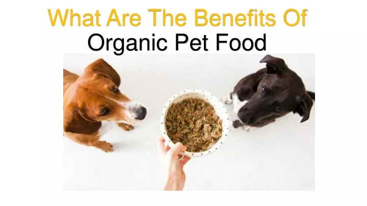 what are the benefits of organic pet food