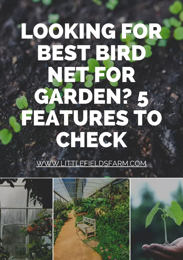 looking for best bird net for garden 5 features
