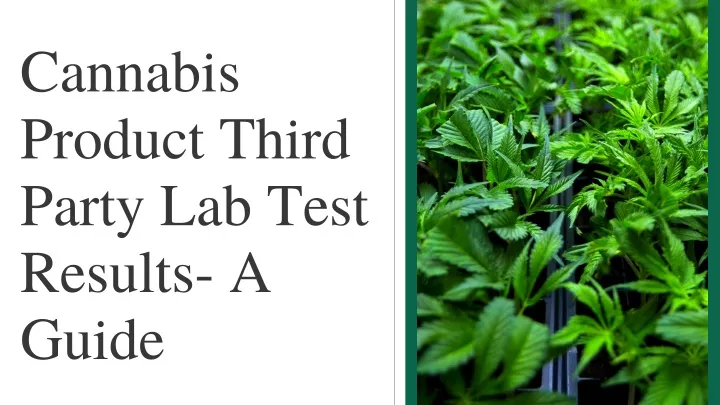 cannabis product third party lab test results