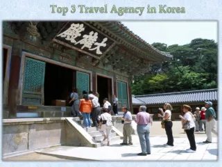 Top 3 Travel Agency in Korea