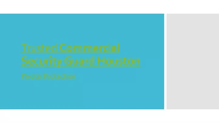 trusted commercial security guard houston