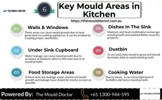 6 Key Mould Areas in Kitchen