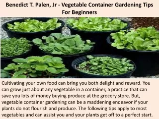benedict t palen jr vegetable container gardening tips for beginners