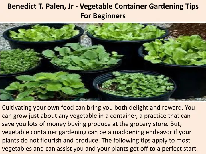 benedict t palen jr vegetable container gardening tips for beginners